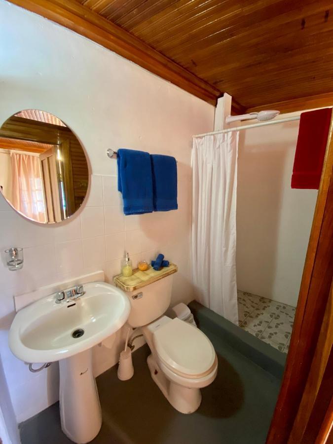Cat In The Cup B&B Μπόκας ντελ Τόρο Εξωτερικό φωτογραφία